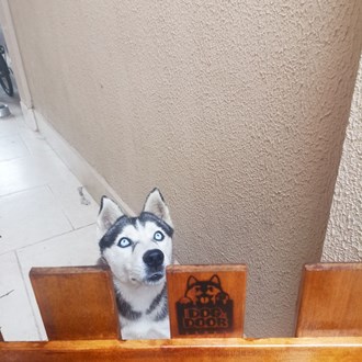Portão de madeira para pet Dog Door
