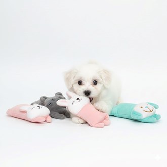 Animal Pelúcia Brinquedo 16cm x 6.5cm