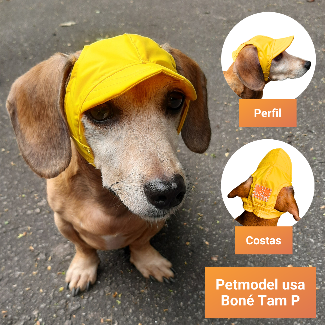 Boné Pet A Prova D'agua Impermeável Para Piscina Mar Amarelo