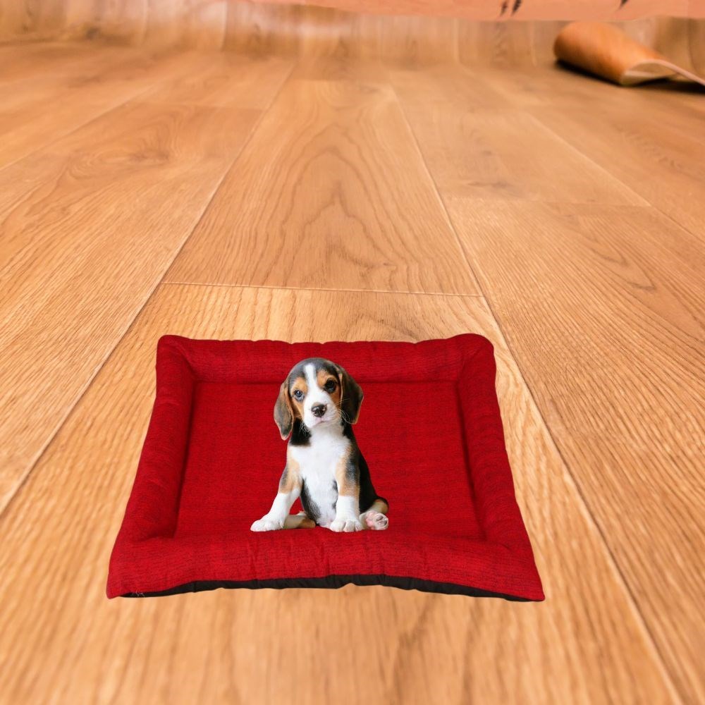 Colchonete Médio Impermeável para Pet  Vermelho    