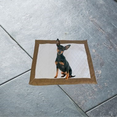 Tapete Higiênico Impermeável Pequeno para Pets - Branco Cacau Lavável