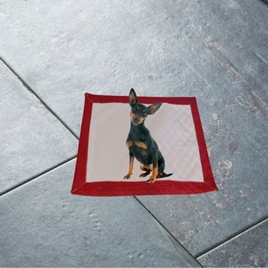 Tapete Higiênico Impermeável Pequeno Vermelho 