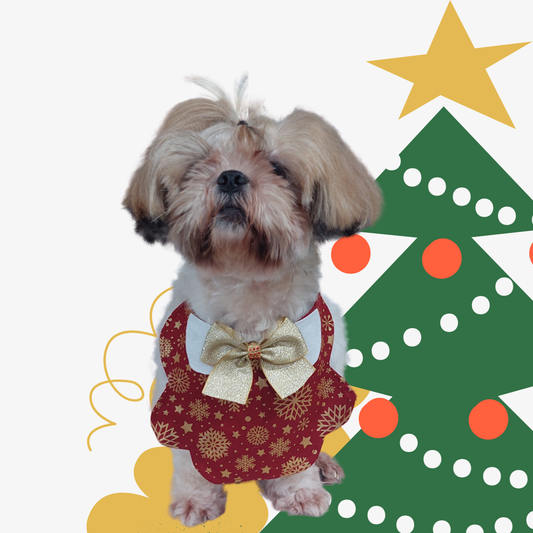 Gola Babador pet - Temática Natal