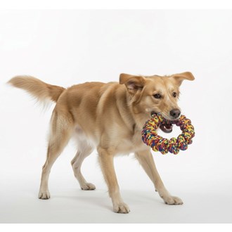 Brinquedo de Corda - Pneu