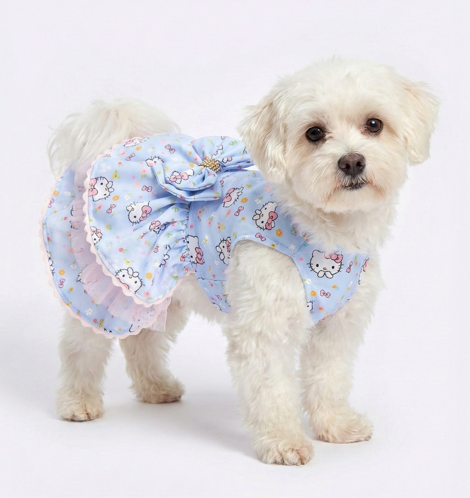 Vestido Hello Cães T: G