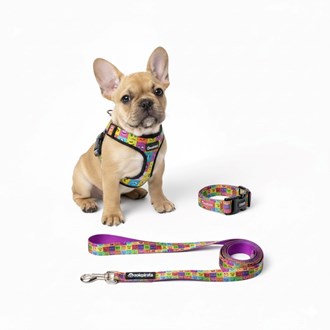 Kit Peitoral Americano Zoio Pirata com Coleira e Guia Wave