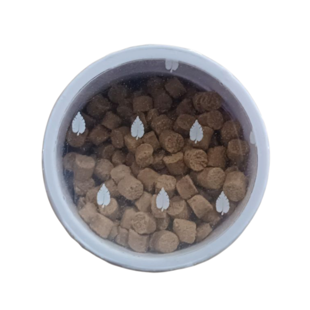 RAÇÃO POYTARA PEIXES DE FUNDO 50 G