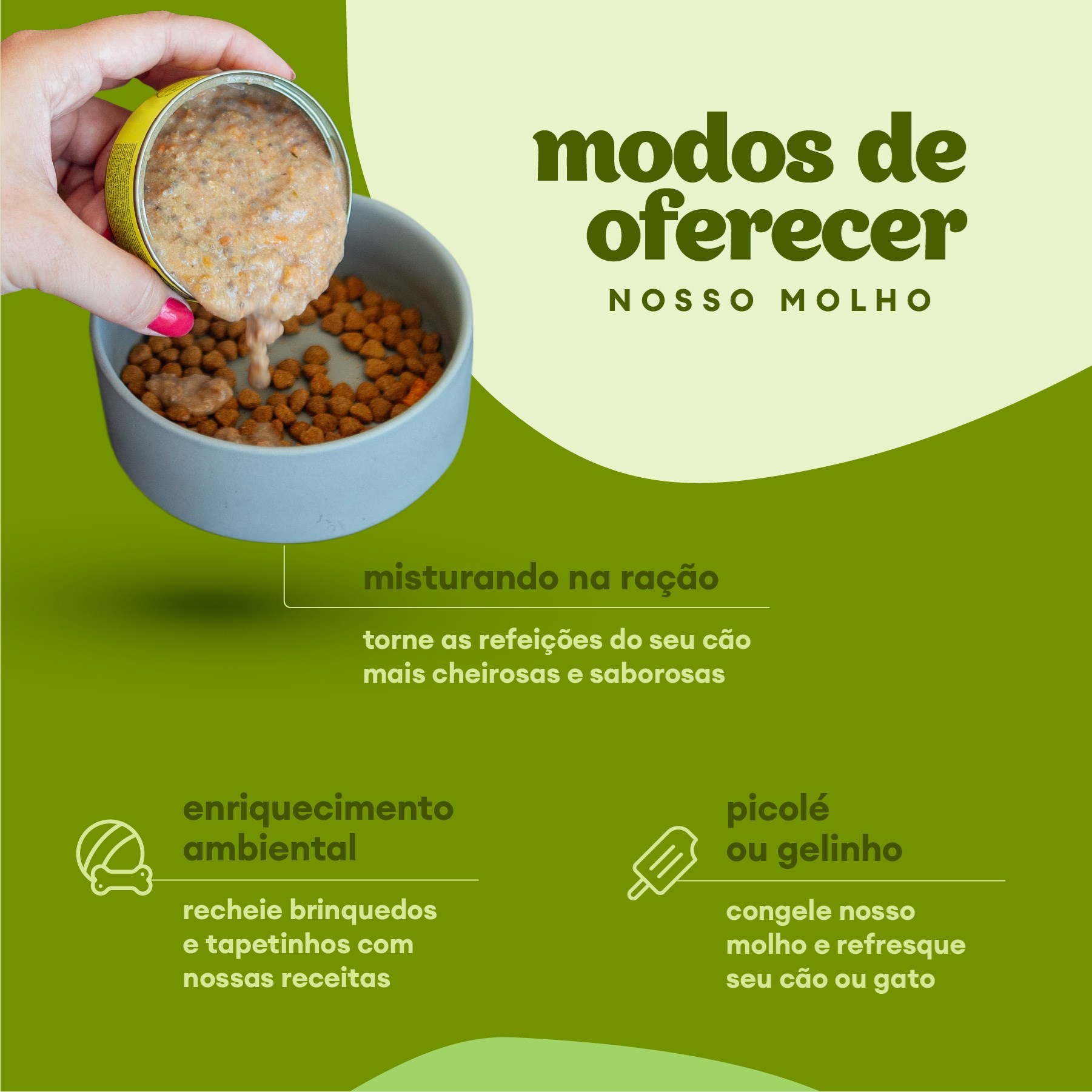  Molho Natural de Carne Cão Pet Delícia 100g