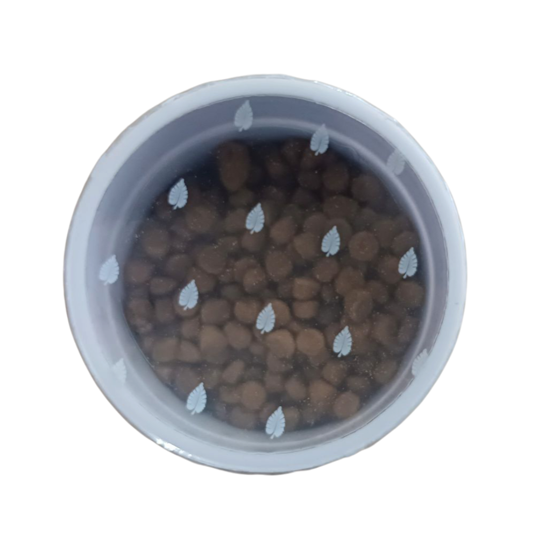 RAÇÃO POYTARA CARNÍVOROS DE FUNDO 130G