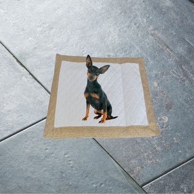 Tapete Higiênico Impermeável Pequeno para Pets -  Avelã| Lavável