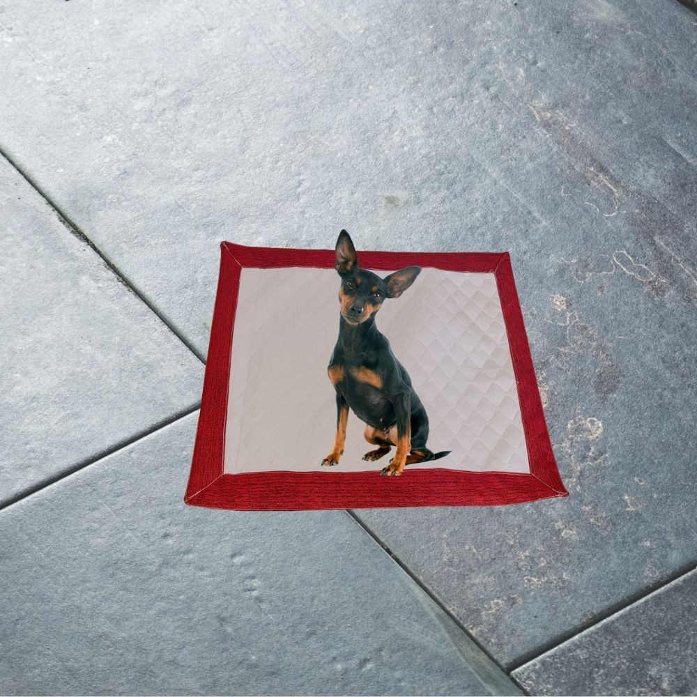 Tapete Higiênico Impermeavel Pequeno Branco Vermelho 