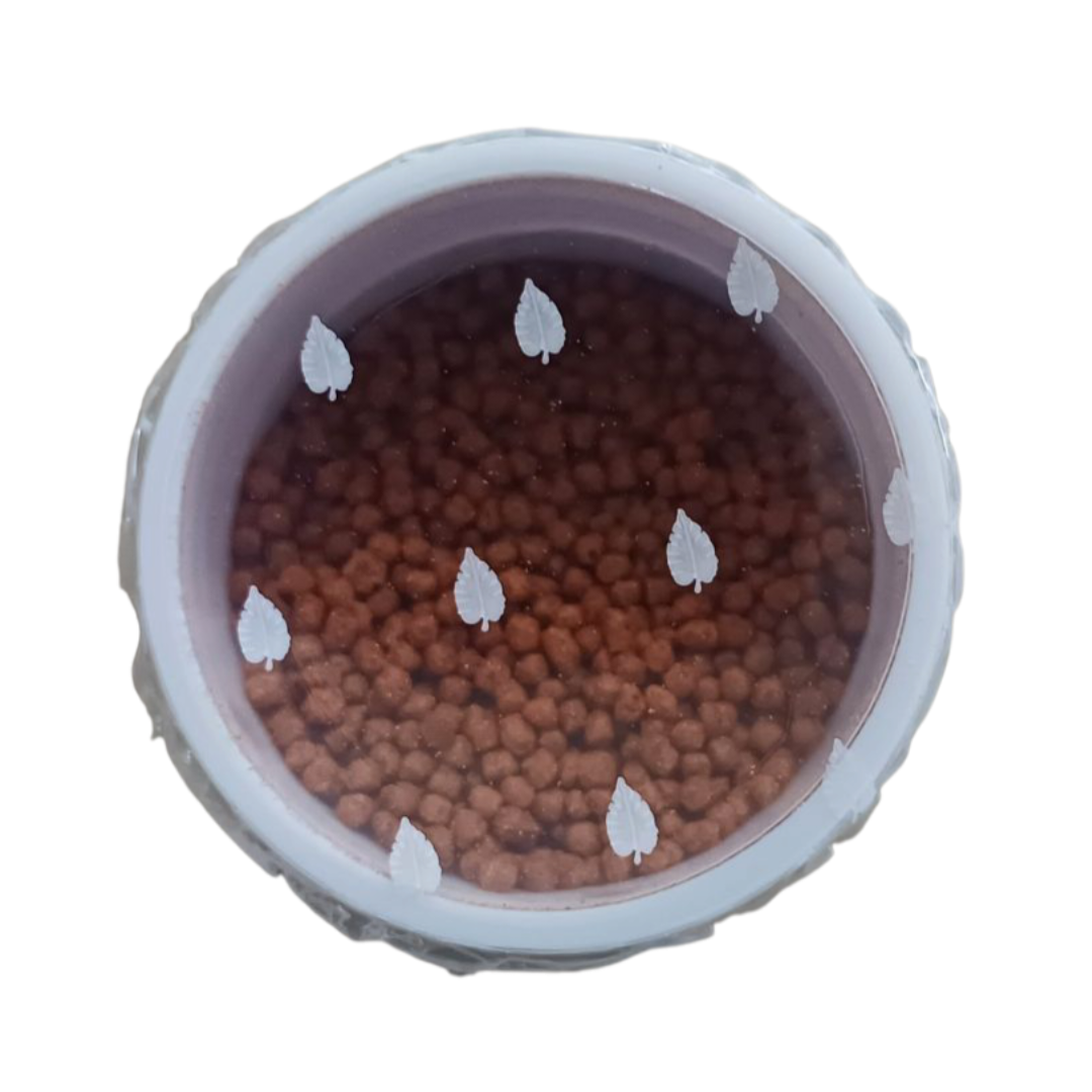 RAÇÃO POYTARA KINGUIO DIA A DIA 35 G