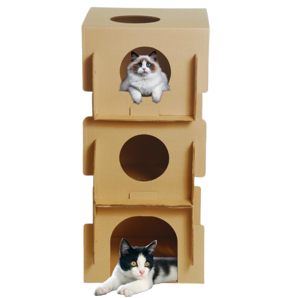 Toca Casa Para Gatos Condocat Brinquedo 3 em 1 Papelão Reciclável e Biodegradável