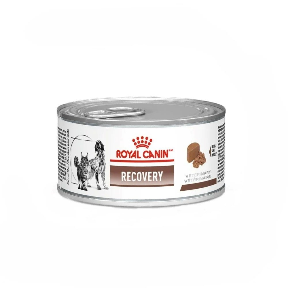 Ração Úmida Cães e Gatos Royal Canin Recovery 195g
