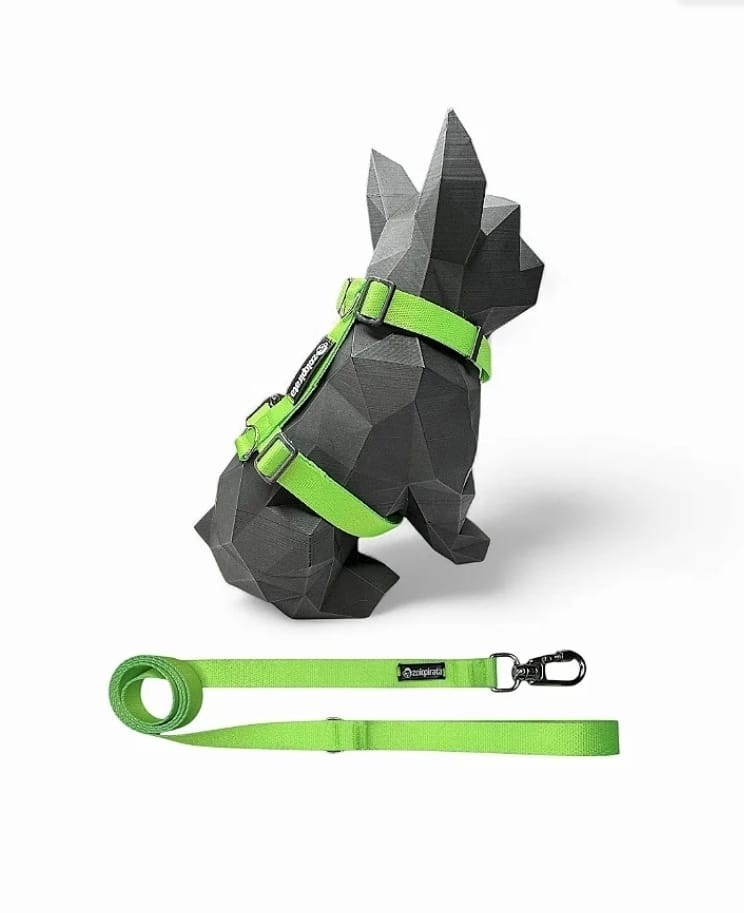 Kit Peitoral H Antipuxão com Coleira e Guia Zoio Pirata