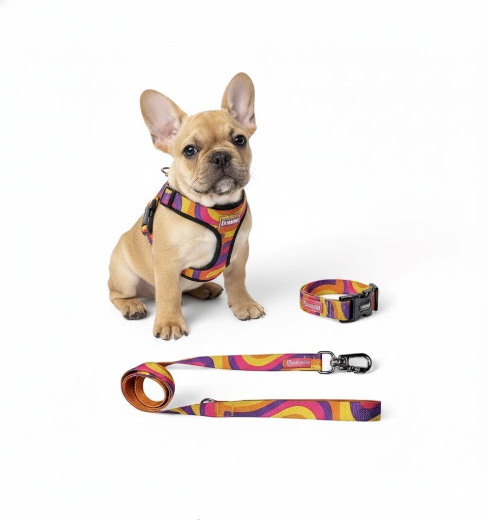 Kit Peitoral Americano Zoio Pirata com Coleira e Guia Wave