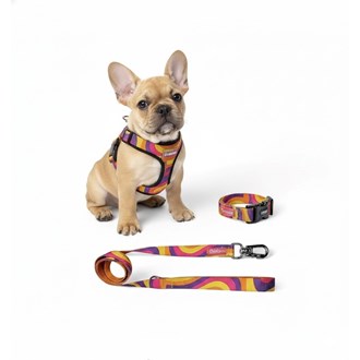 Kit Peitoral Americano Zoio Pirata com Coleira e Guia Wave