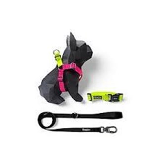 Kit Peitoral Americano para cachorros com Guia Sambô