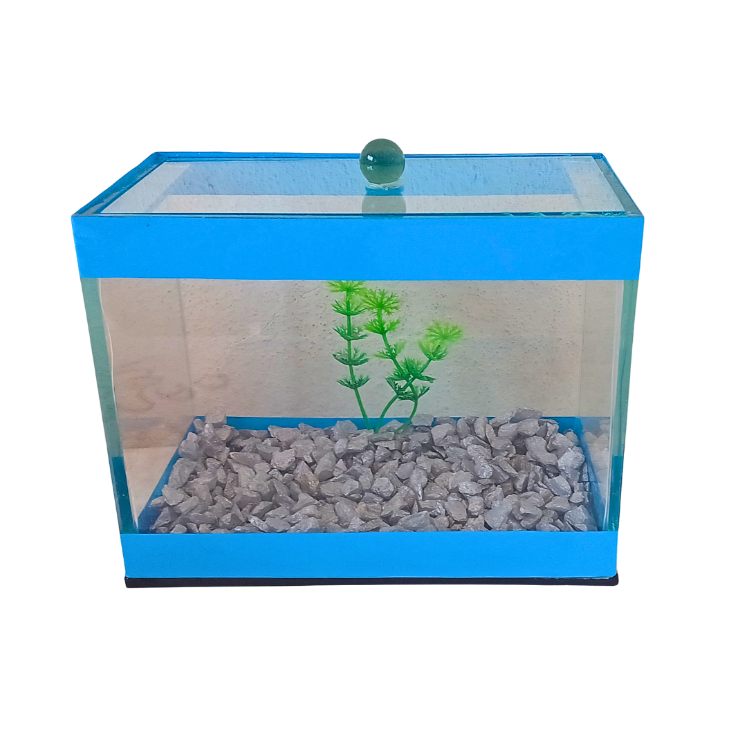 BETEIRA RETANGULAR DE VIDRO DECORADA 20 X 10 X 15 CM - 3 L