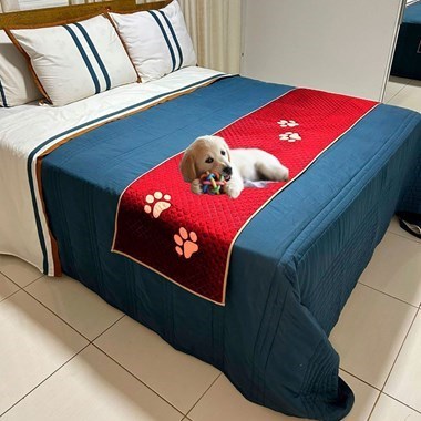 Peseira Pet Impermeável Cama King Vermelha