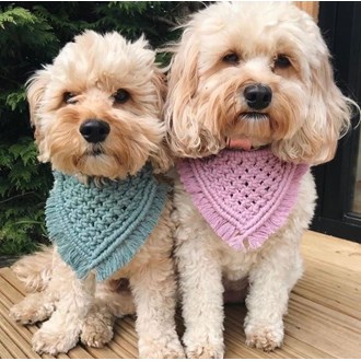 Bandana para cães e gatos em Macramé 