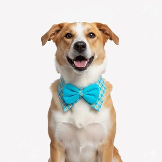 Bandana Pet - Colarinho Duque Pet - Tamanho P