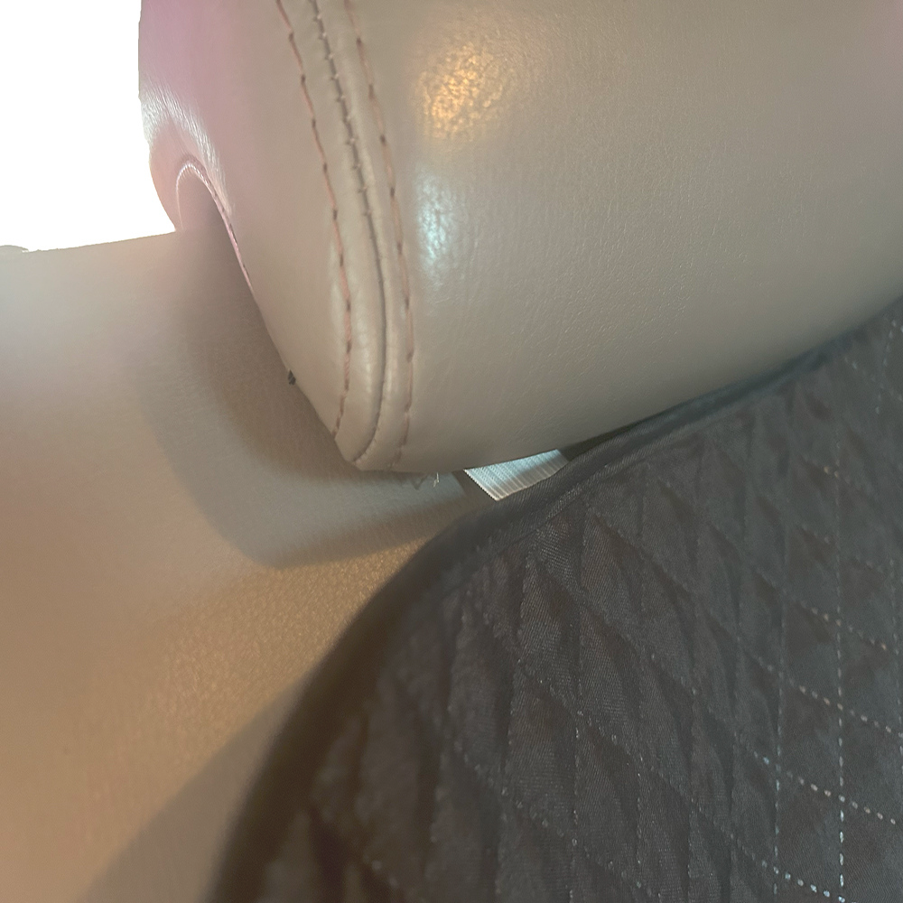 Cama e Capa Protetora 2 em 1 Impermeável para Assento Traseiro Veicular Grande Marrom Estampado